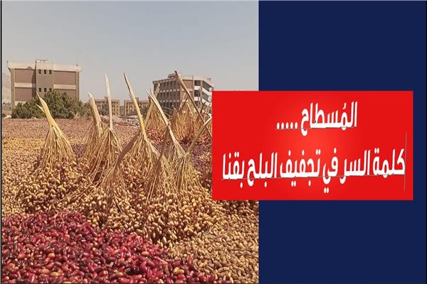 صورة موضوعية 