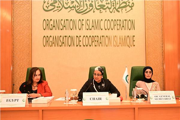 القاضية أمل عمار