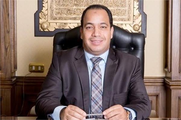 الدكتور عبدالمنعم السيد  رئيس مركز القاهرة للدراسات الاقتصادية