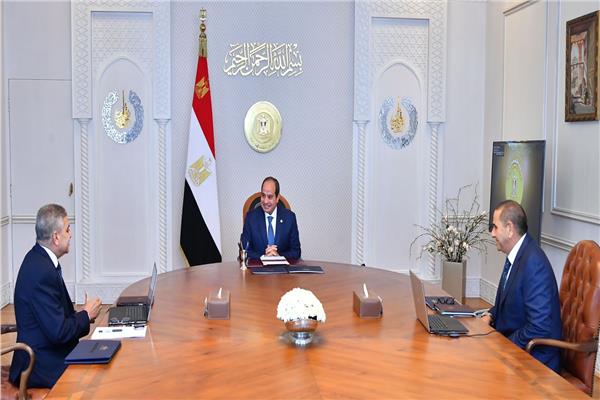 الرئيس السيسي يلتقي الفريق أسامة ربيع