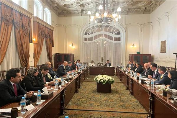 صورة من الحوار الاستراتيجي المصري الأمريكي
