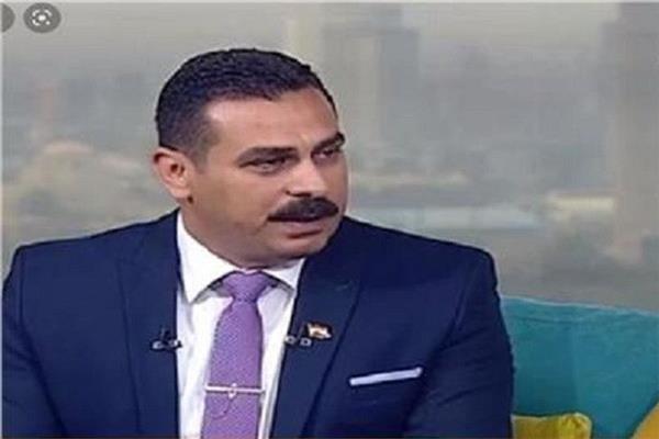 محمد البهواشي، الباحث الاقتصادي