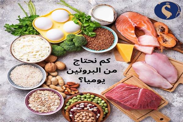 البروتين 