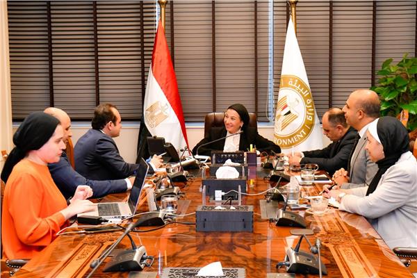 وزيرة البيئة وحزب مستقبل وطن