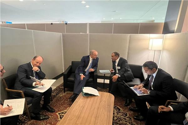 د.بدر عبد العاطى وزير الخارجية والهجرة وميهول مارتن نائب رئيس وزراء ووزير خارجية أيرلندا