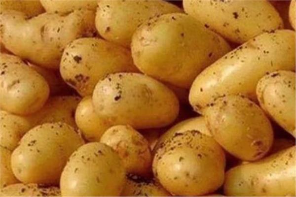 البطاطس