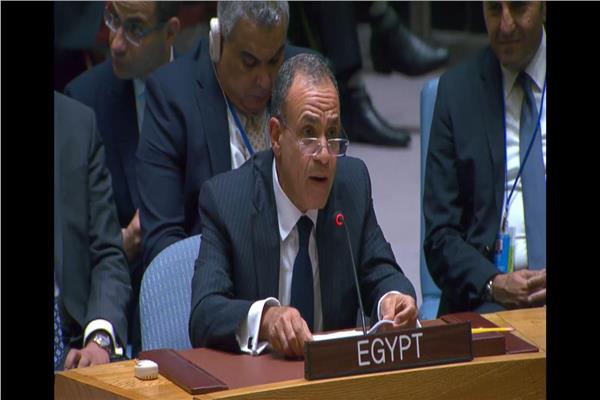  الدكتور بدر عبد العاطي وزير الخارجية والهجرة