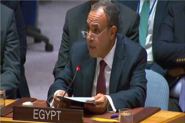 وزير الخارجية والهجرة د.بدر عبد العاطي