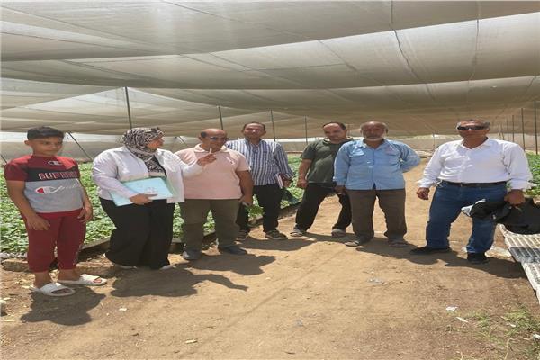 صورة موضوعية