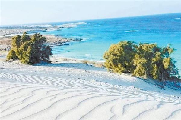مشروع رأس الحكمة يحول منطقة الساحل الشمالى مقصدًا سياحيًا عالميًا