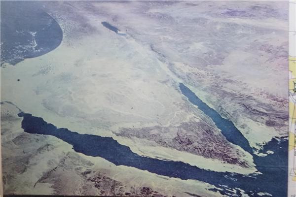 موضوعية