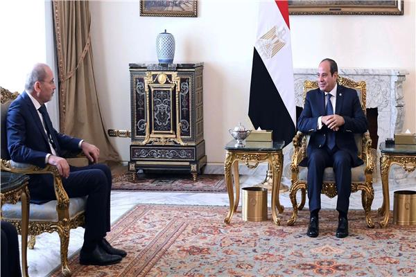 الرئيس السيسي خلال اللقاء
