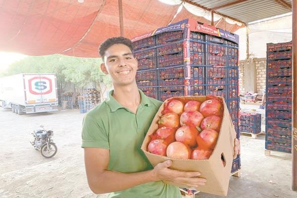 إقبال كبير على مفارش تصدير الرمان الأسيوطى