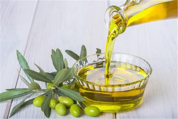 اكتشاف مركب طبيعي لعلاج السمنة ومرض السكري في الزيتون