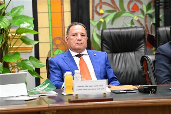 اللواء محمد صلاح أبو هميلة
