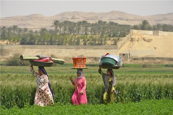 ■ صورة أرشيفية