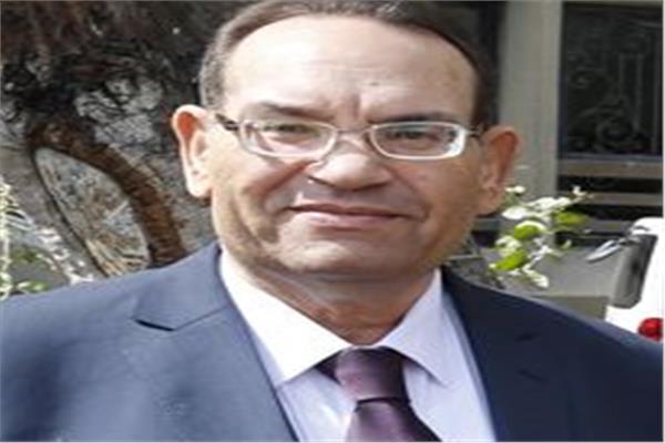 أ.د. محمد العبد