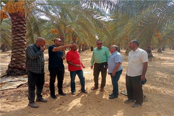 صورة موضوعية