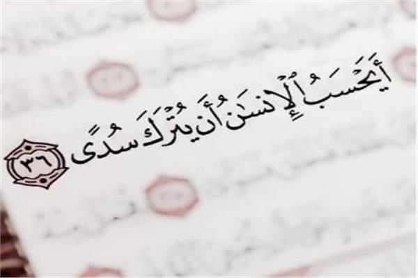أَيَحْسَبُ الإنْسَانُ أَنْ يُتْرَكَ سُدًى