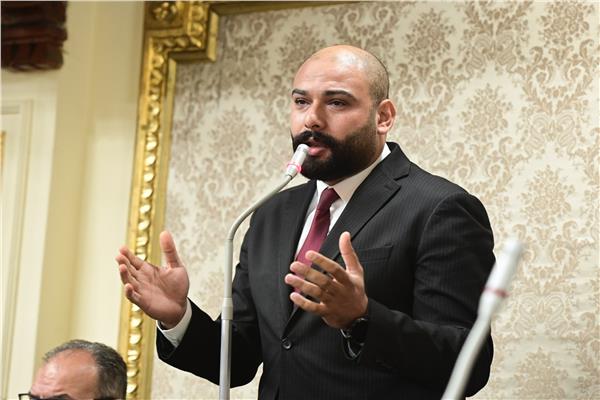 النائب إبراهيم الديب