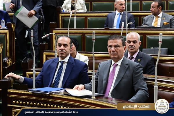 حضور المستشار محمود فوزي وزير الشئون النيابية