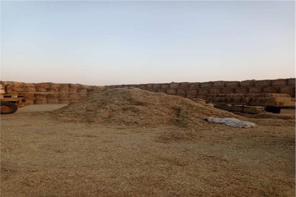 موضوعية