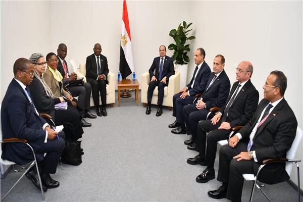 الرئيس السيسي ونظيره الجنوب أفريقي