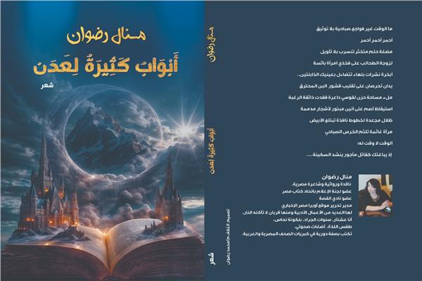 الديوان الشعري