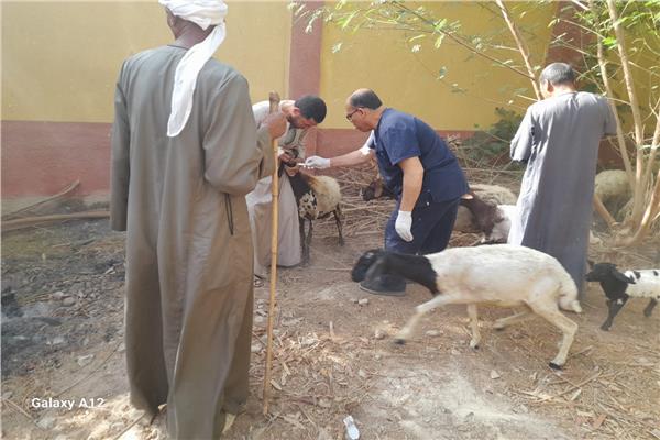 الخدمات البيطرية