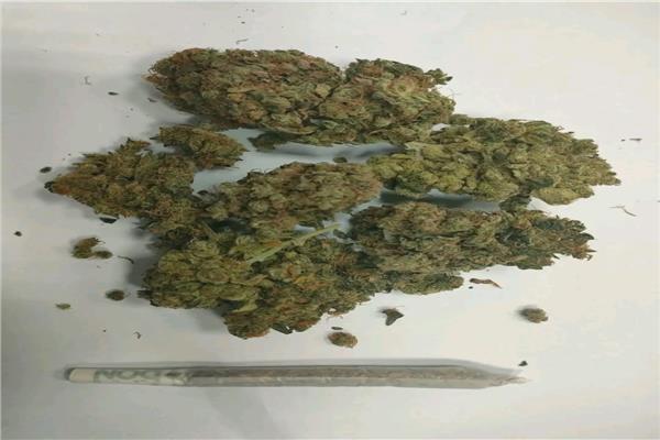 المضبوطات