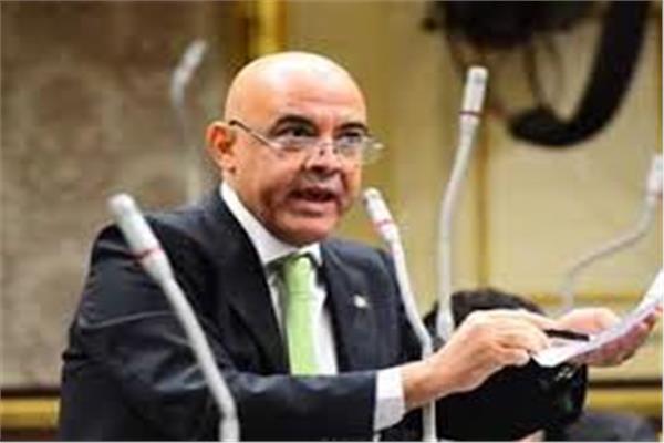 النائب عمرو هندى، عضو مجلس النواب