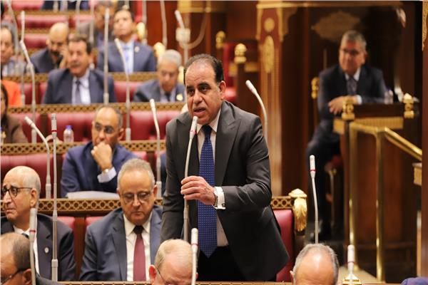 النائب عبد العزيز النحاس عضو مجلس الشيوخ