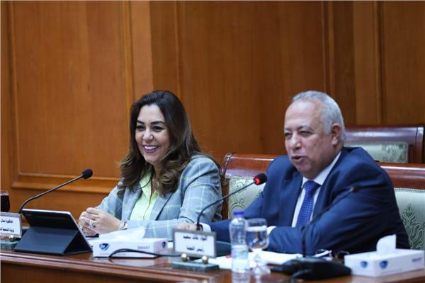 الدكتورة منال عوض وزيرة التنمية المحلية