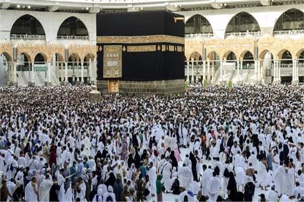 عضو اتحاد غرف شركات السياحة، أحمد وحيد