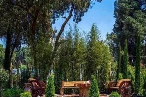 حديقة الأورمان
