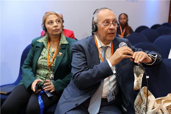 ماجد عثمان عضو المجلس القومي للمرأة ووزير الاتصالات الأسبق