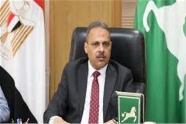 المهندس حازم الأشمونى  محافظ الشرقية
