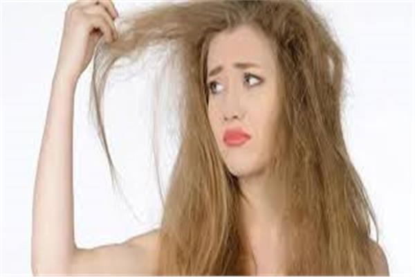 أفضل 5 زيوت طبيعية لترطيب الشعر 