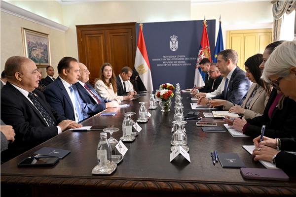 المستشار عبد الوهاب عبد الرازق رئيس مجلس الشيوخ