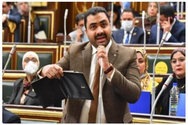 النائب محمود قاسم عضو مجلس النواب