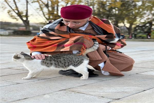 وزير الأوقاف يداعب قطة