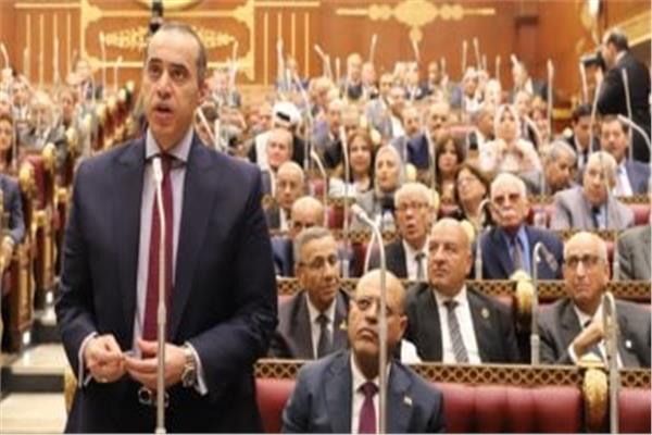 وزير شئون المجالس النيابية