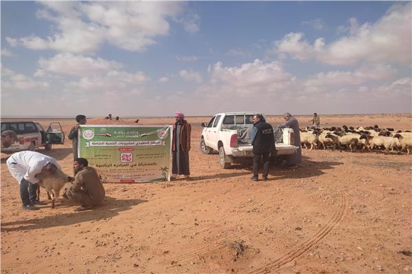 صورة موضوعية