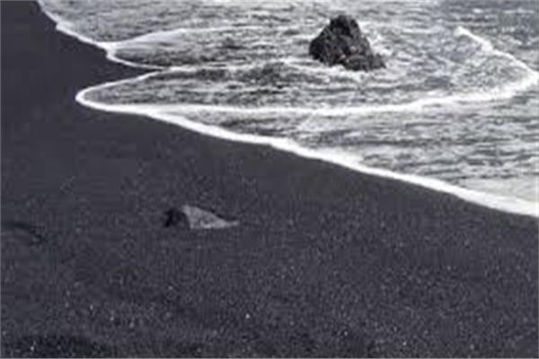 صورة موضوعية