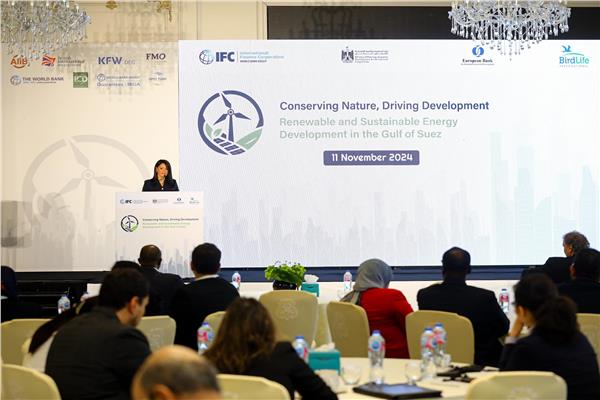 د. رانيا المشاط، وزيرة التخطيط والتنمية الاقتصادية والتعاون الدولي ومحافظ مصر