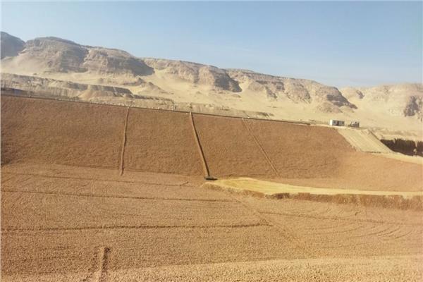 موضوعية