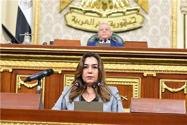 وزيرة التنمية المحلية