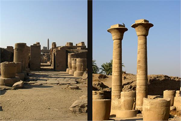 موضوعية