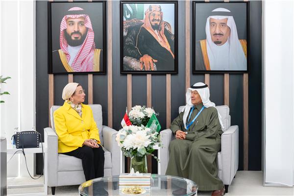 وزيرة البيئة تلتقى وزير الطاقة السعودي