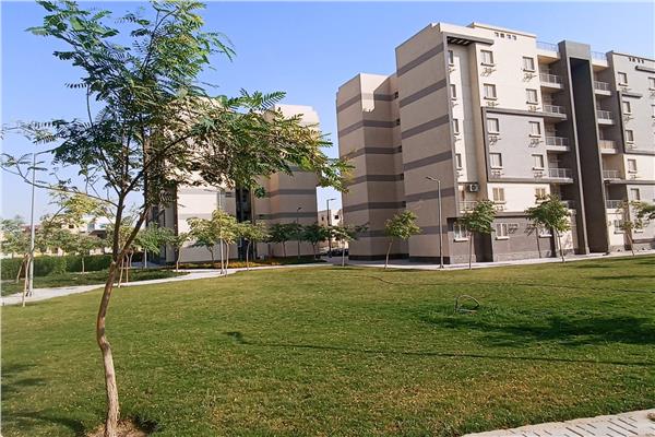 المسطحات الخضراء 